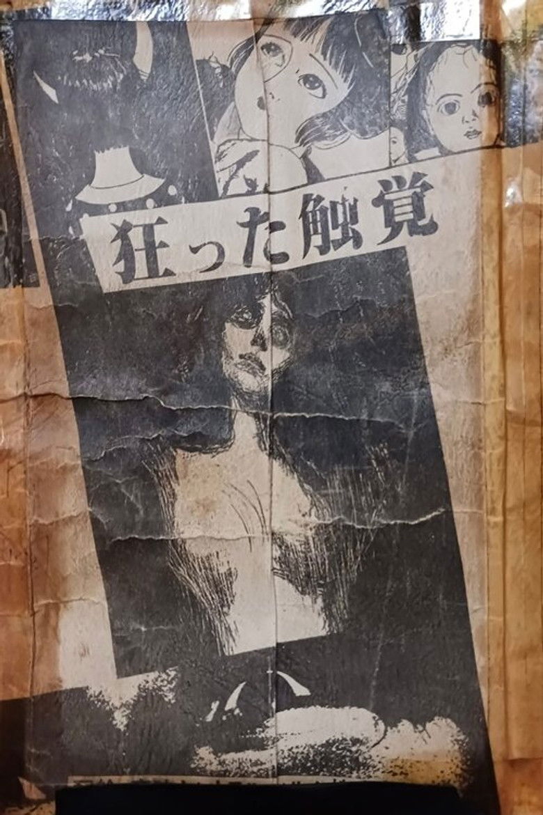 Imatge de 激愛！ロリータ密猟