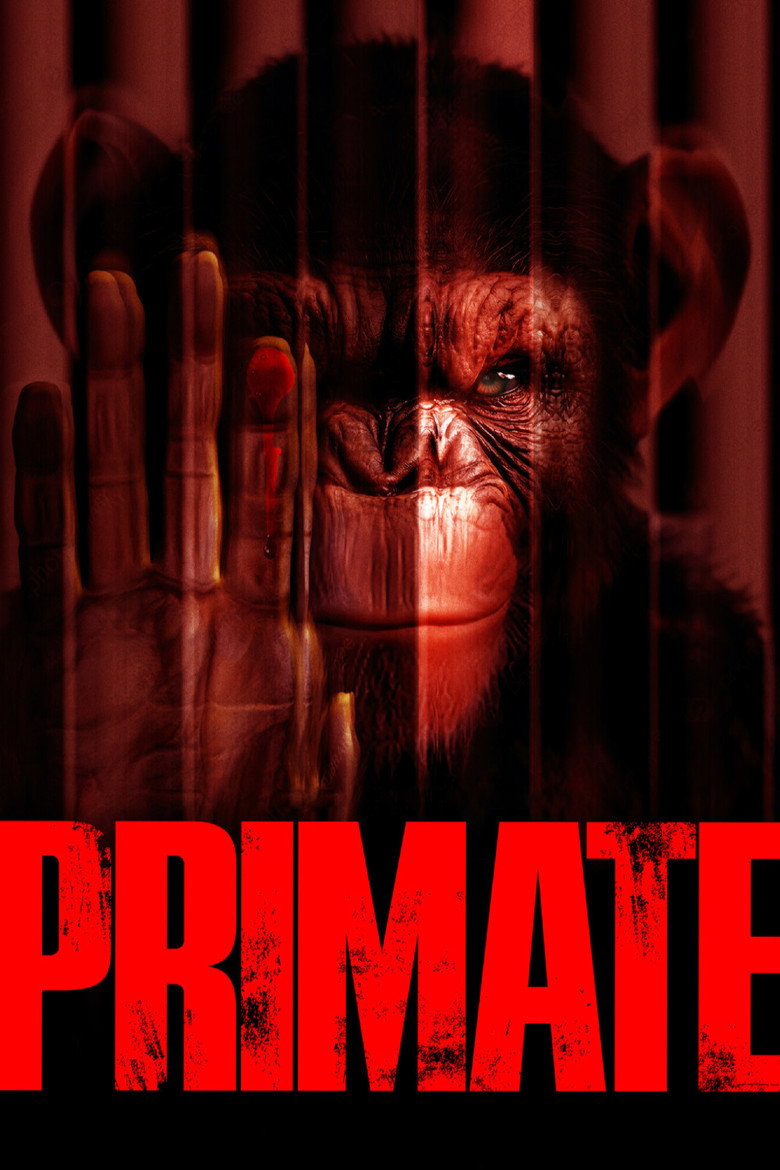 Pôster