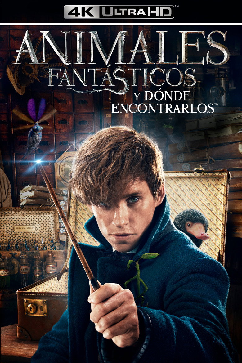 Póster la Película