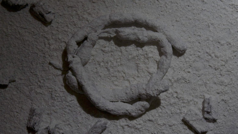 Imatge de The Starving Artist