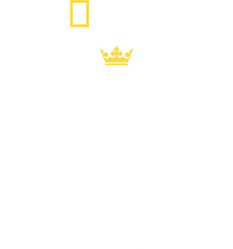 Imagen de D-Day: El Rey que Engañó a Hitler