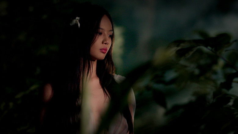 Virgin Forest (2022)