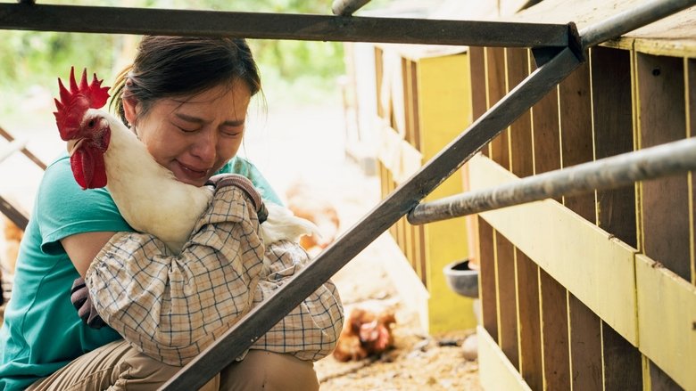 Gallery image from bBRQtZR2ezrao9b4HmC5czzsd1C.jpg