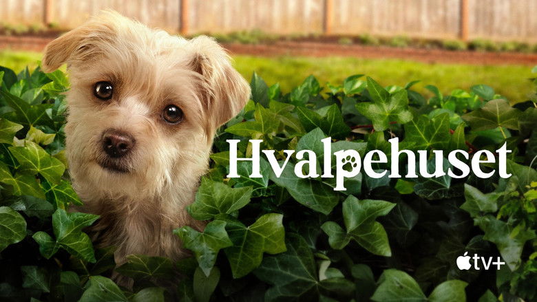 Gallery image from bBVeSCKNEhglRB6zLV0M5y98AJR.jpg