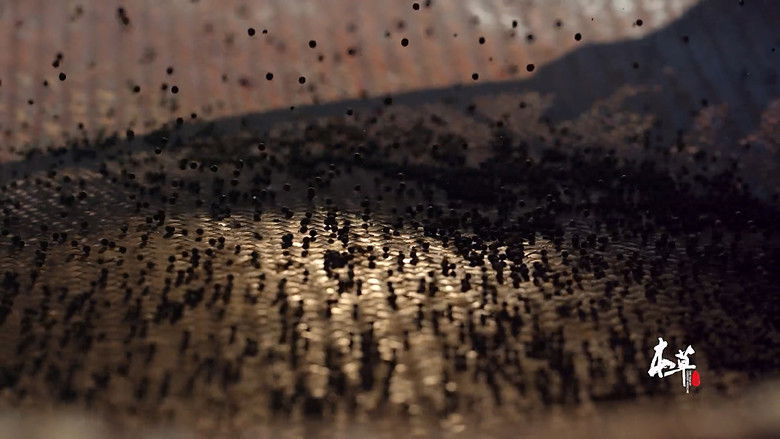 Still image for 本草传 season 1 episode 9: Episode 9