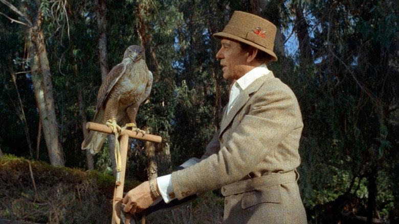 Image d'arrière-plan 7 du film Picture Mommy Dead