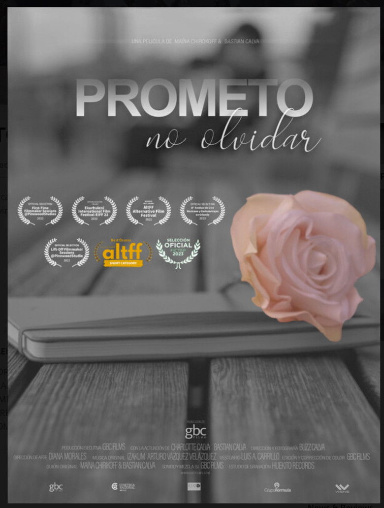 Imatge de Prometo No Olvidar