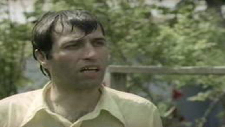 Bdajvke9lxeqolads7jxb4i3flp