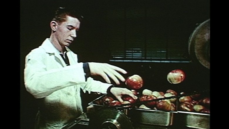 Gallery image from bDeMXPopR1iGE0W1FBLGhXgAqKr.jpg