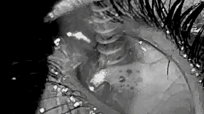 Gallery image from bE7eMRSl13sfrYKOCixEAacUdOY.jpg