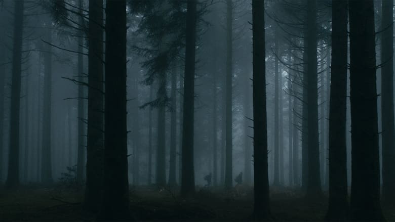 Le coeur noir des forêts