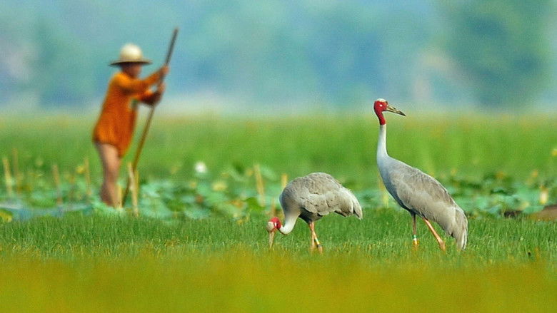 Mysteries of the Mekong 1×3