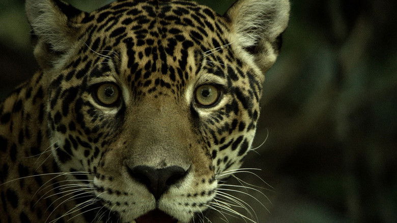 Still image for Guyana season 1 episode 3: Episode 3