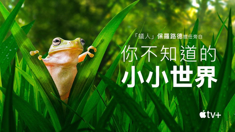 Gallery image from bEcIvJCSfrMgSsLpd6yQHRdNd5h.jpg