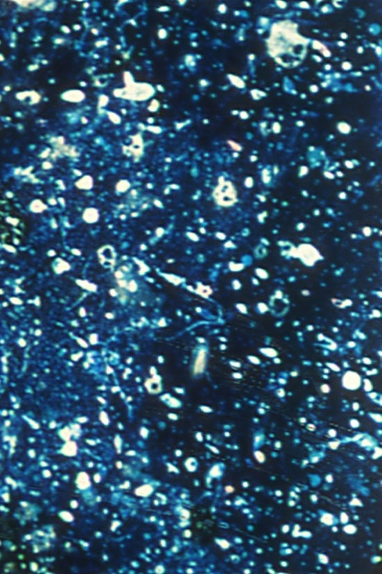 Ephemeral Solidity main poster