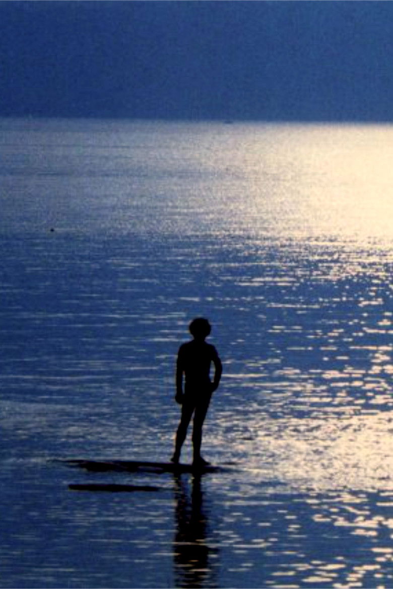 Imatge de Nostos: il ritorno