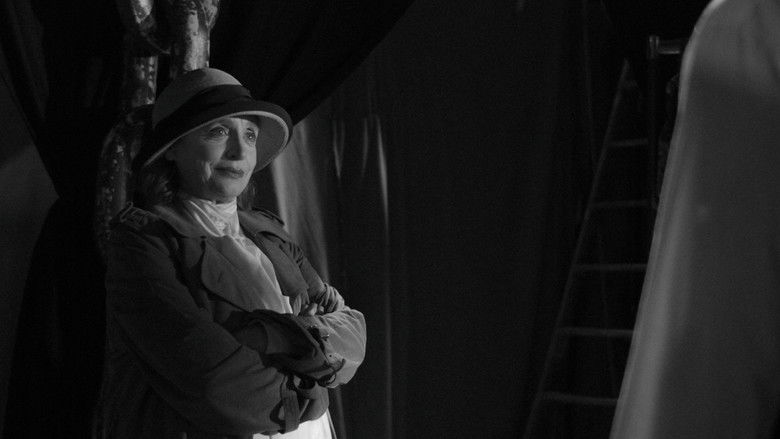 Gallery image from bFtEf8Fxb5imT0t8rSz75ThMJoY.jpg