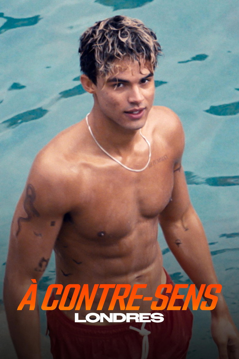 Póster la Película