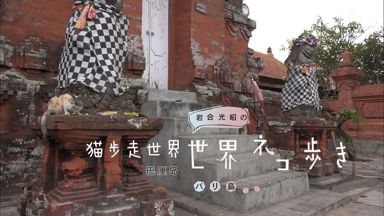 Still image for Mitsuaki Iwago's World “Cats” Travelogue season 1 episode 35: Bali Still image for Mitsuaki Iwago's World “Cats” Travelogue season 1 episode 35: Bali