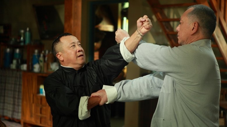 Ip Man: The Final Fight