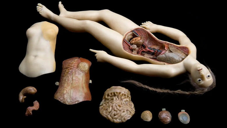 Imatge de Four Unloved Women, Adrift on a Purposeless Sea, Experience the Ecstasy of Dissection