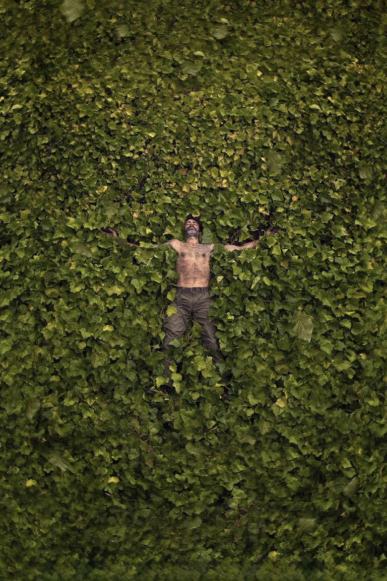 Imatge de Solitarium