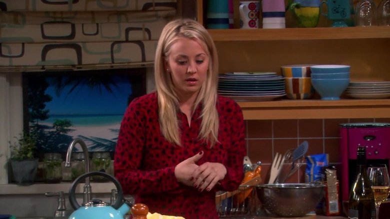 Watch The Big Bang Theory Season 6 Episode 15 The