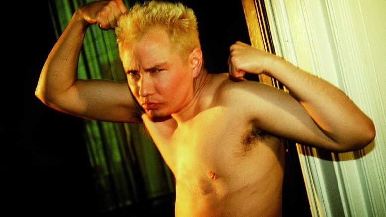 Gendernauts: A Journey Through Shifting Identities main backdrop