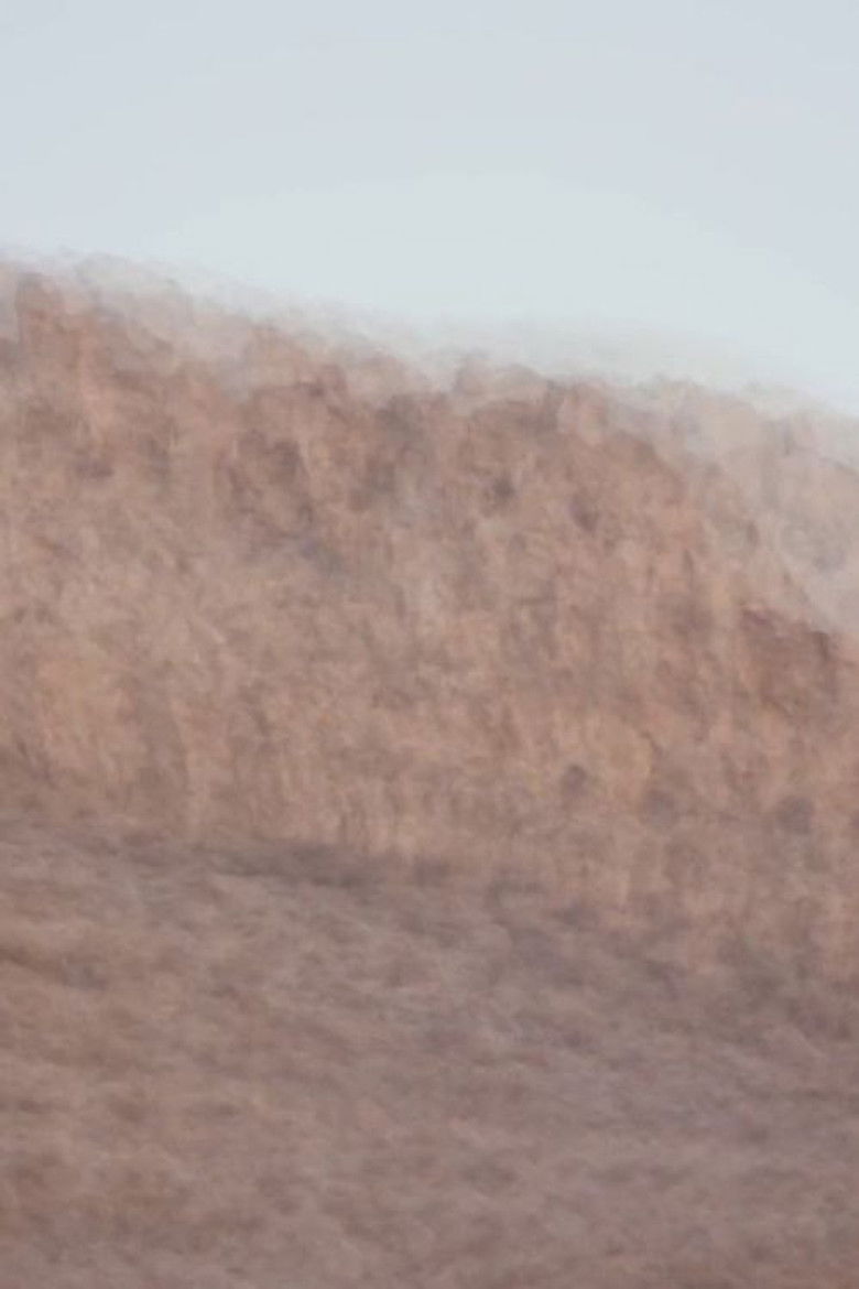 Imatge de Subida ao cerro