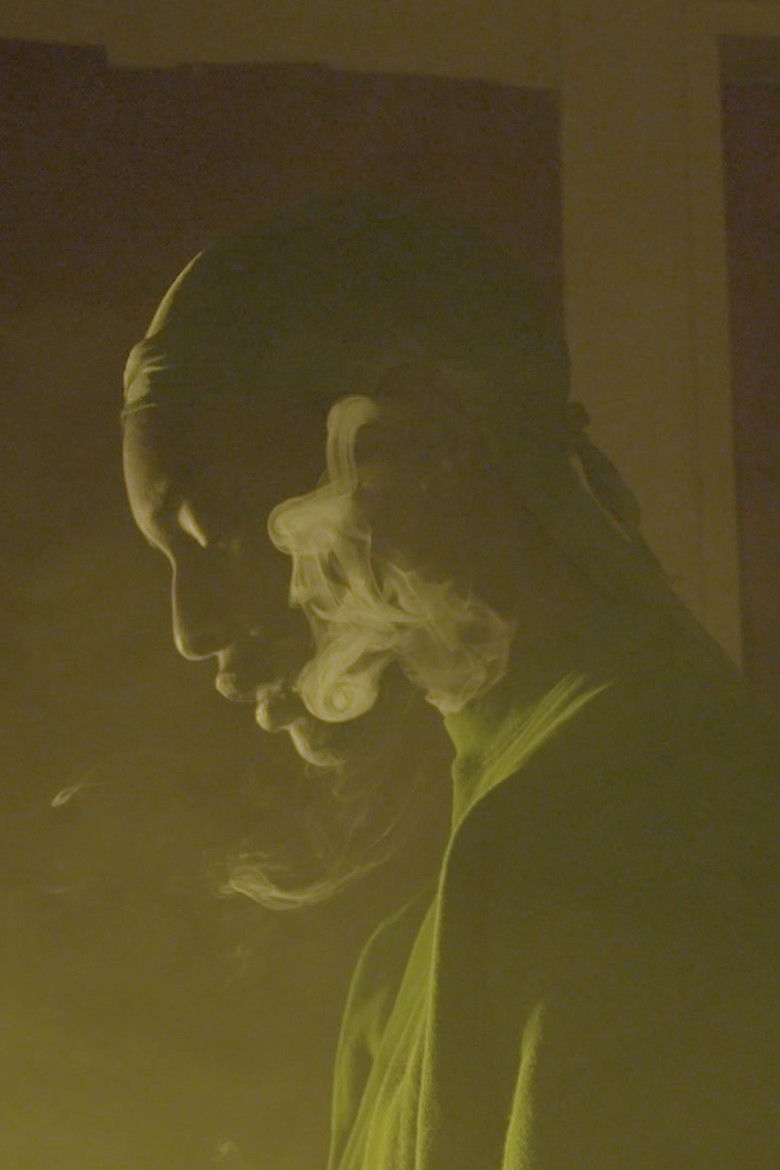 Imatge de Code Switch