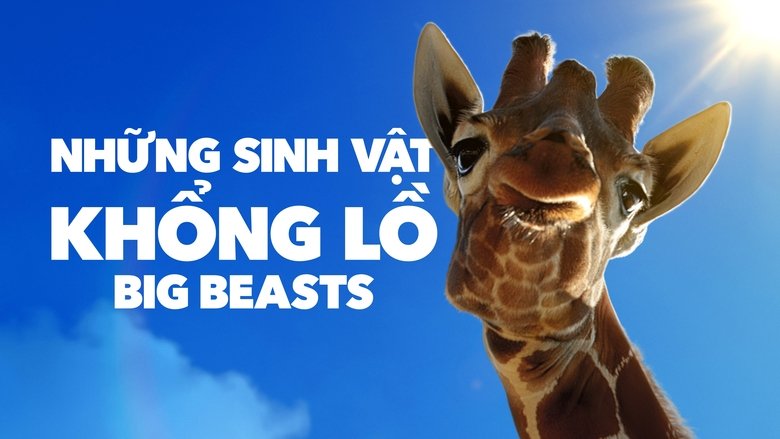 Gallery image from bIcxqy7dSGYXTMsAbYIAOzqSg4e.jpg