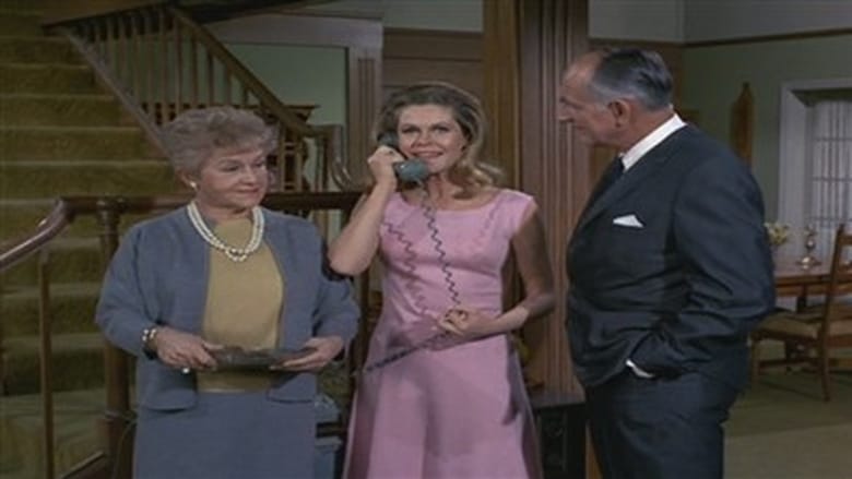 Bewitched Season 3 Episode 29