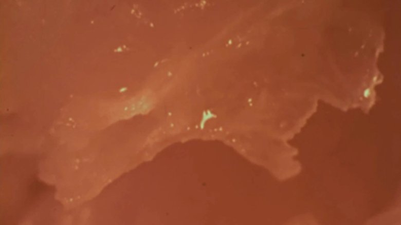 Gallery image from bJ00dup9QsCHGeZ86cp1wtKCWUK.jpg