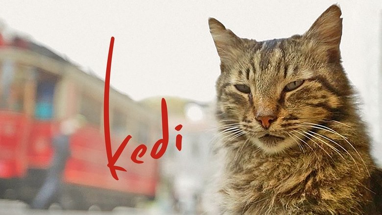 Kedi (2017)