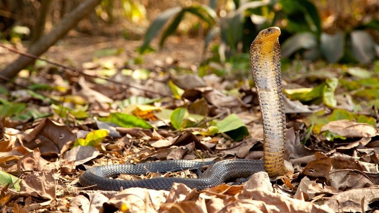 Gallery image from bJFObvnlmjRn2B90JSiG5lU6bCs.jpg