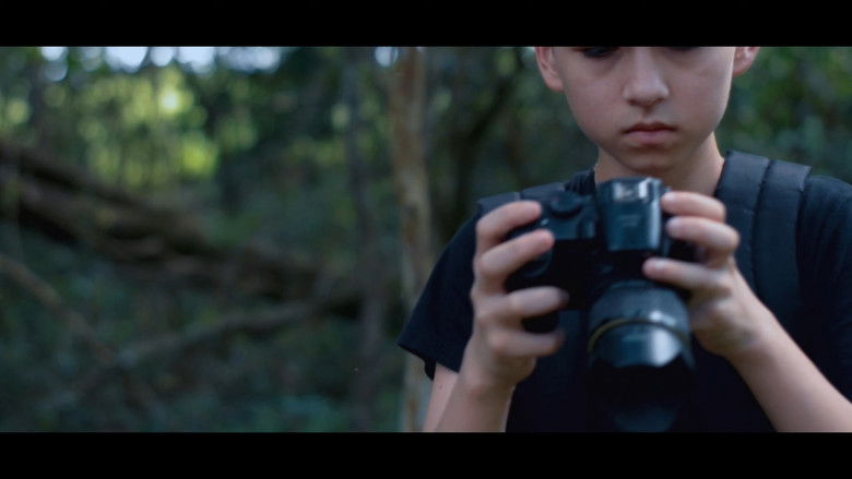 Imatge de A Mata Não Esquece