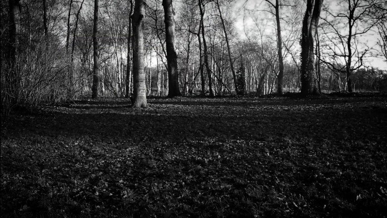 the forest of great mystery and emptiness