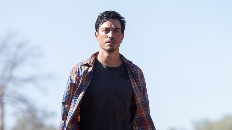 Still image for Population 11 season 1 episode 9: Trivia Night Still image for Population 11 season 1 episode 9: Trivia Night