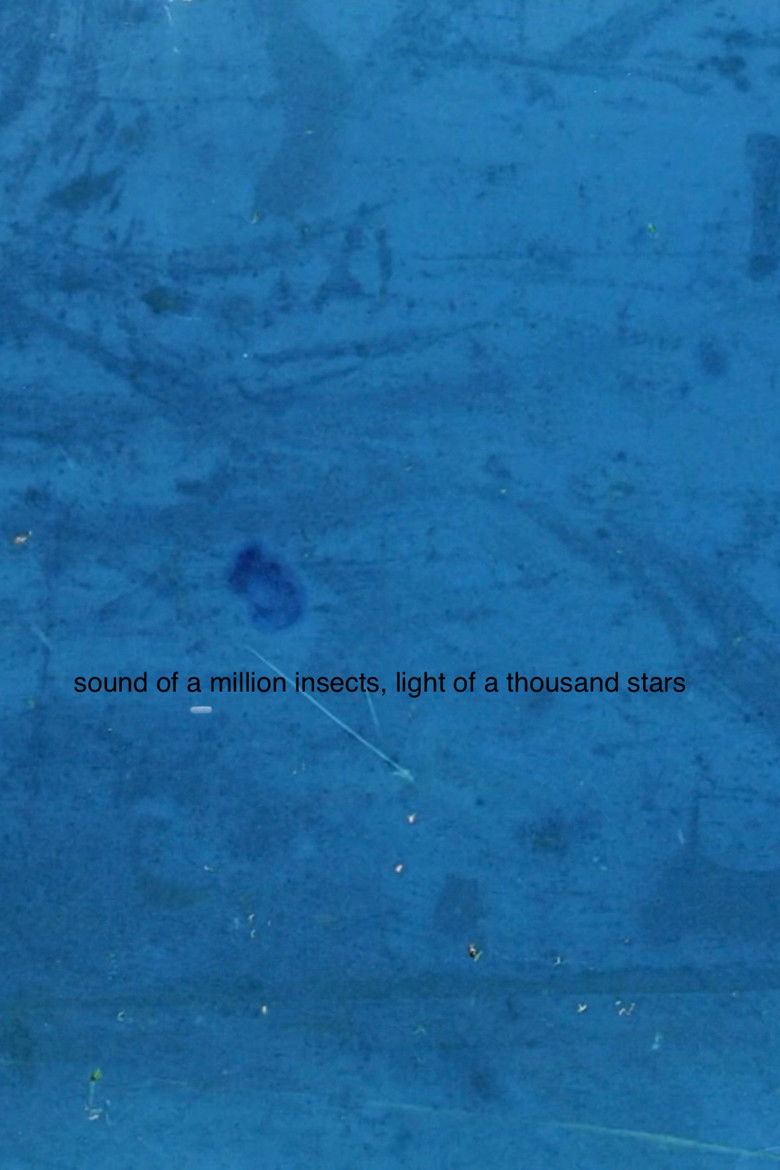 Imatge de Sound of a Million Insects, Light of a Thousand Stars