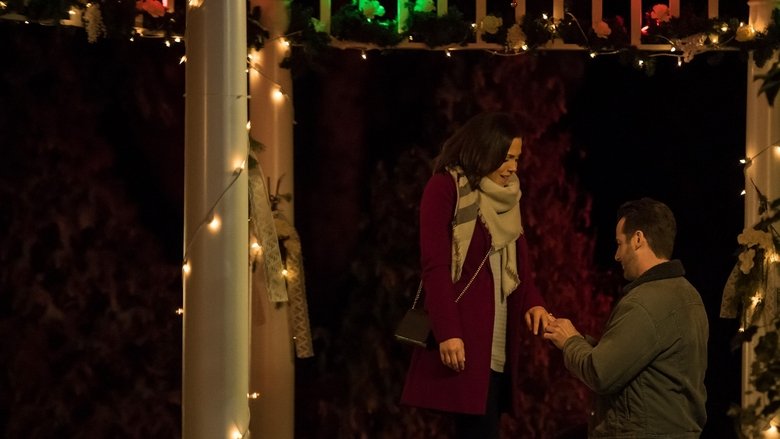 A Family for the Holidays (2017)