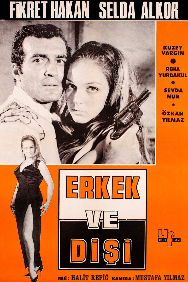 Imatge de Erkek ve Dişi