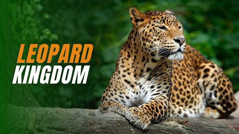 Leopard Kingdom galeri 1