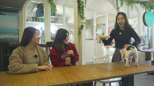 Still image for 台灣萌萌的 season 1 episode 2: Episode 2