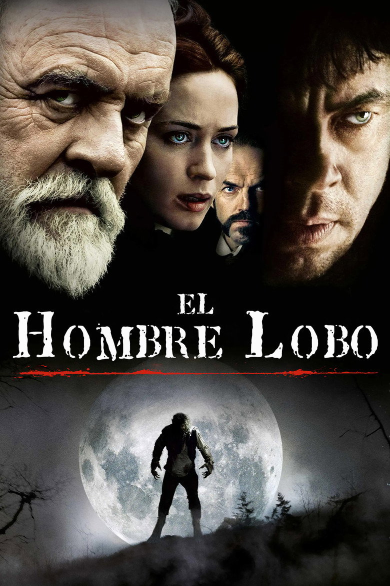 Póster la Película