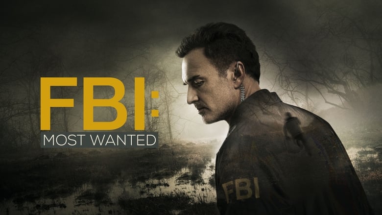 FBI: Most Wanted Season 1 Episode 10 : Silkworm