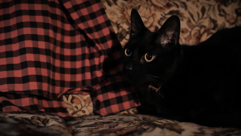 Gallery image from bNIyLzgNWpez7XrIYqF9vbpFyZ7.jpg