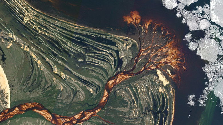 Imatge de 2024: The Year From Space