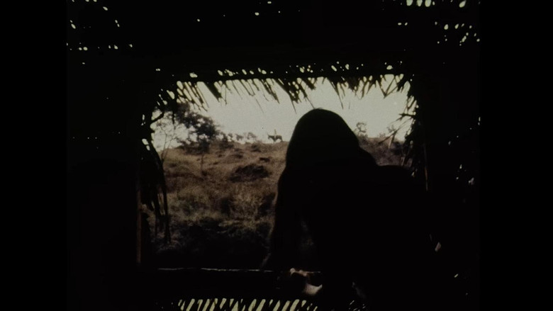 Gallery image from bO0umTndKAOR5KGvrs0mv0PCO40.jpg