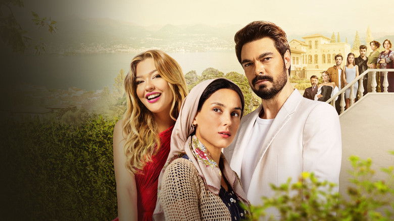 Gallery image from bOCd1QEToO9zwY7JM9vtf8IKInr.jpg