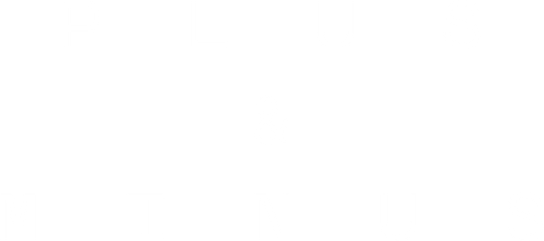Logo artwork for Plus & Minus